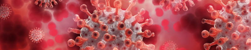 virus